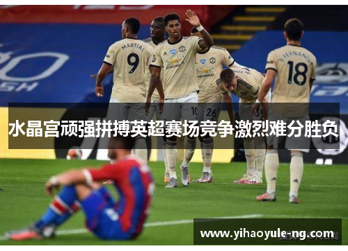 水晶宫顽强拼搏英超赛场竞争激烈难分胜负